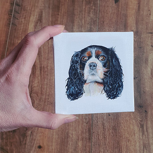 liska-miniatures-scale1a